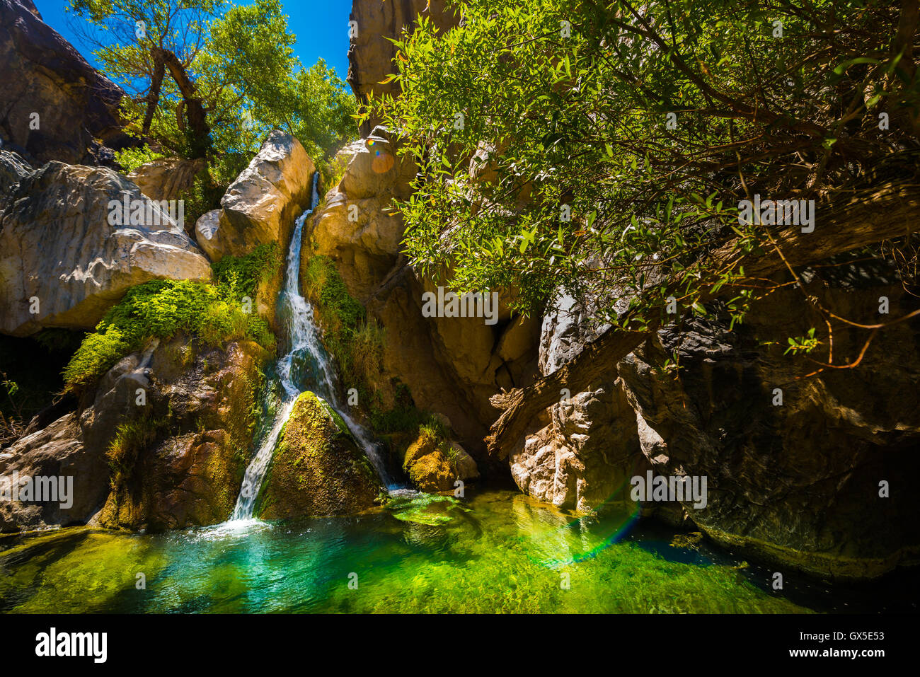 Darwin Falls, Waterfall in Death Valley National Park California USA
