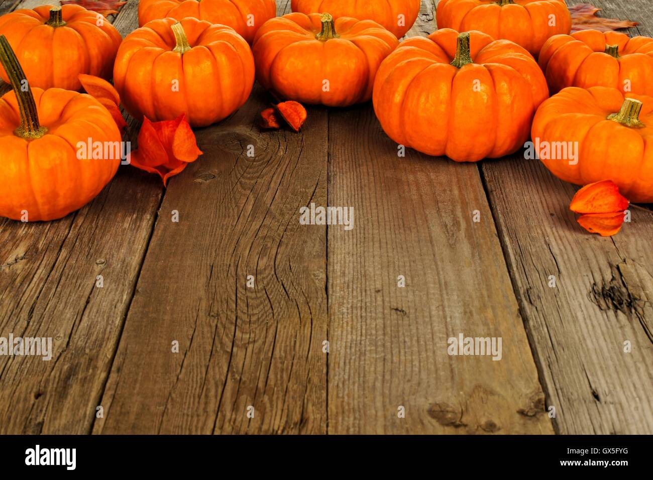Top border arrangement of autumn pumpkins against an old wood background Stock Photo