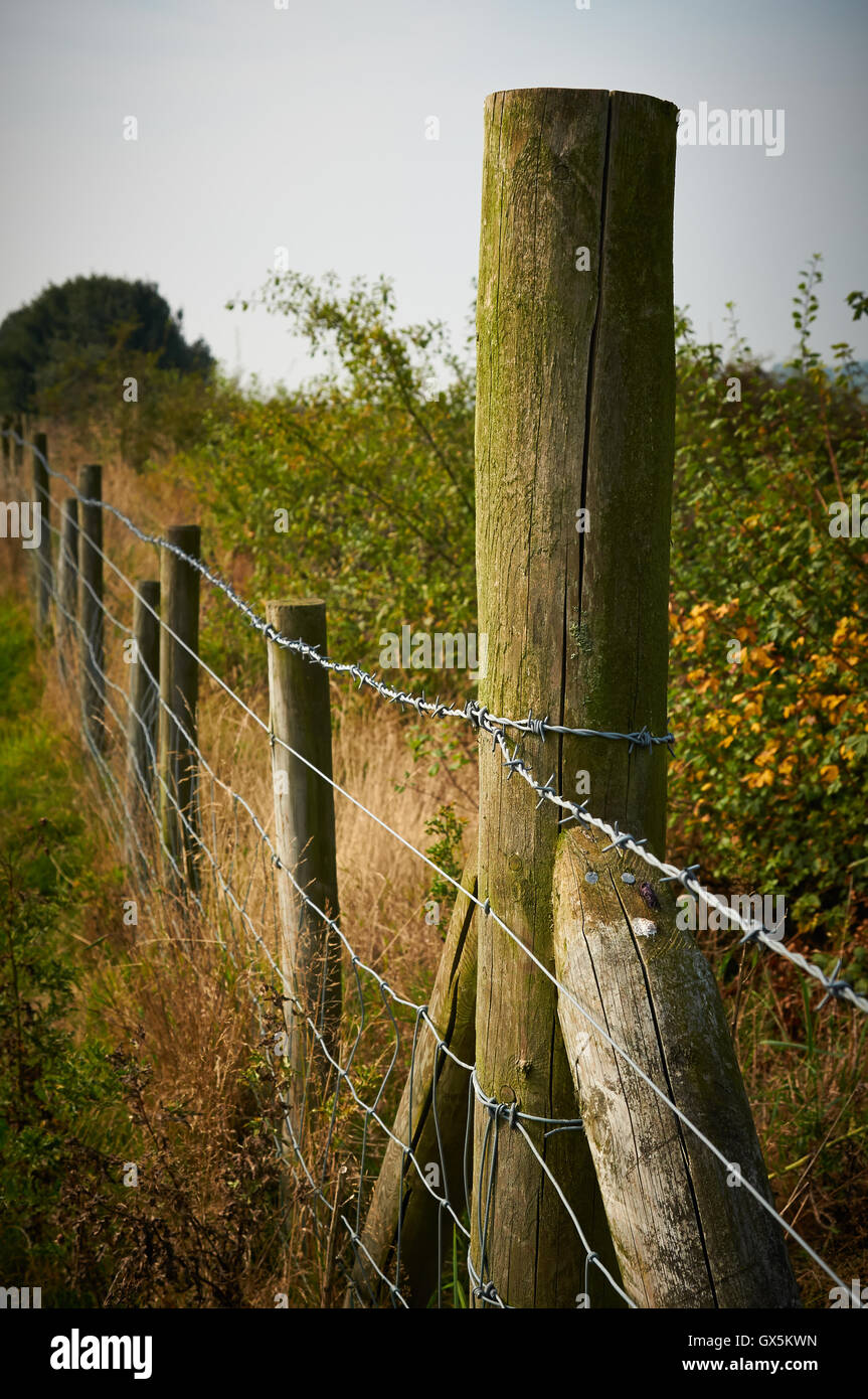 Nature in the UK Stock Photo