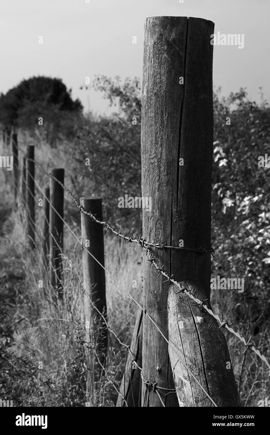Wire farm fencing Black and White Stock Photos & Images - Alamy