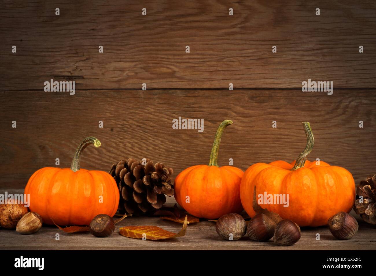 Autumn mini pumpkins with leaves and nuts on a rustic old wood background Stock Photo