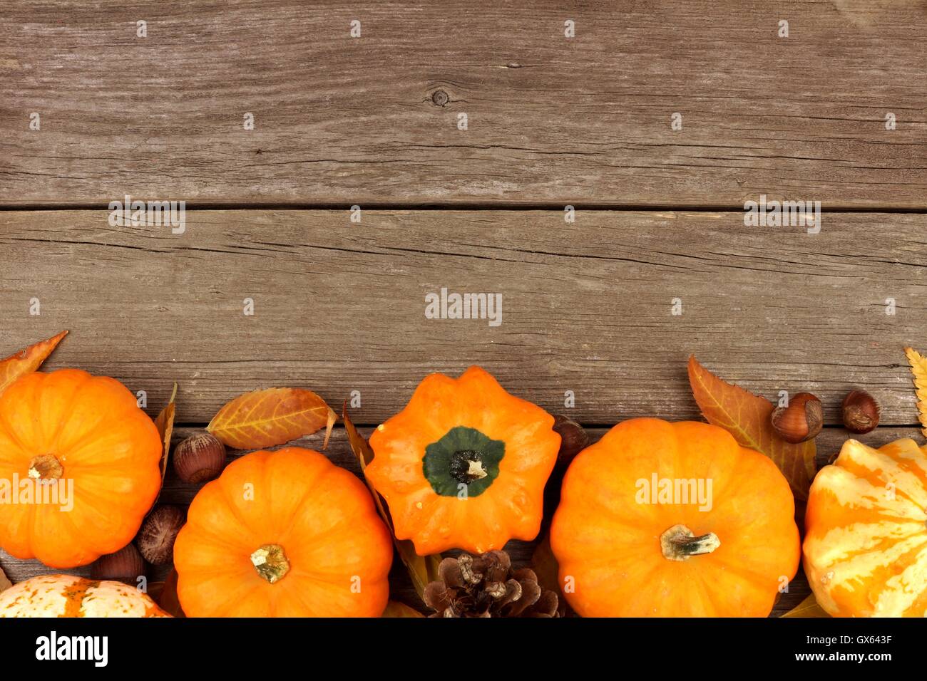 Autumn border of pumpkins and leaves against a rustic old wood background Stock Photo