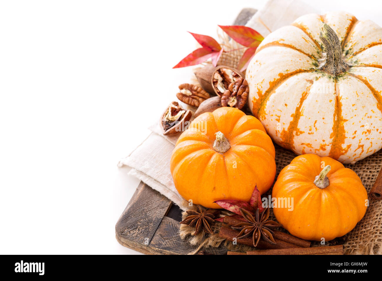 Variety of decorative pumpkins on white background Stock Photo - Alamy