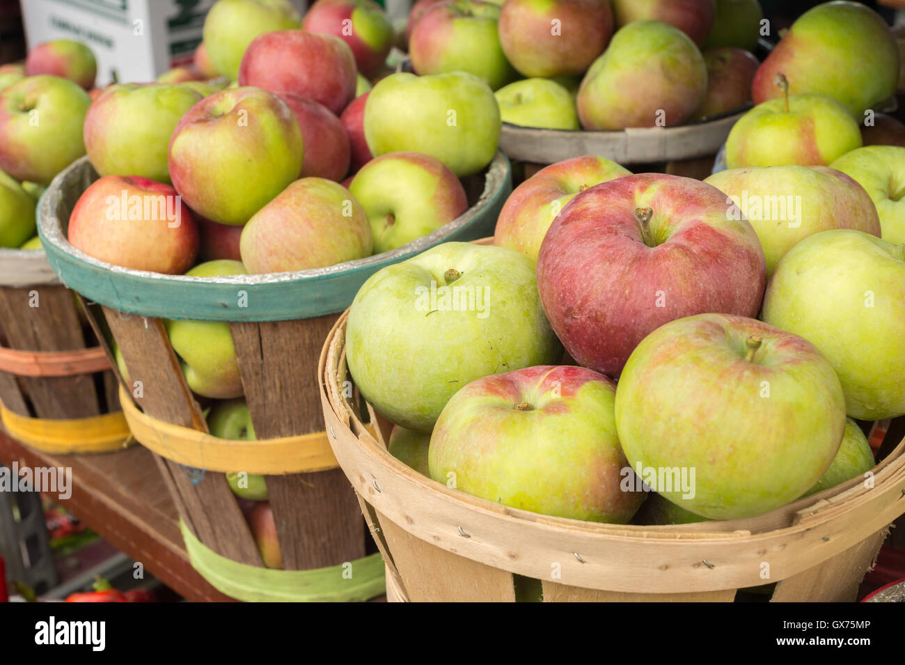 Lobo apples wooden baskets at the market Stock Photo