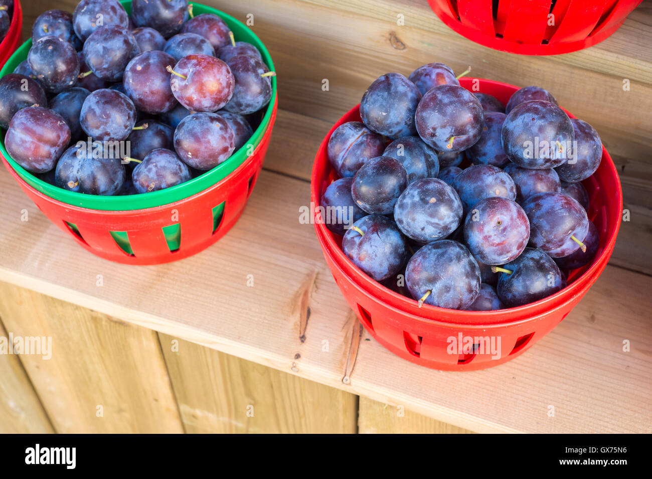 Canada plum hires stock photography and images Alamy