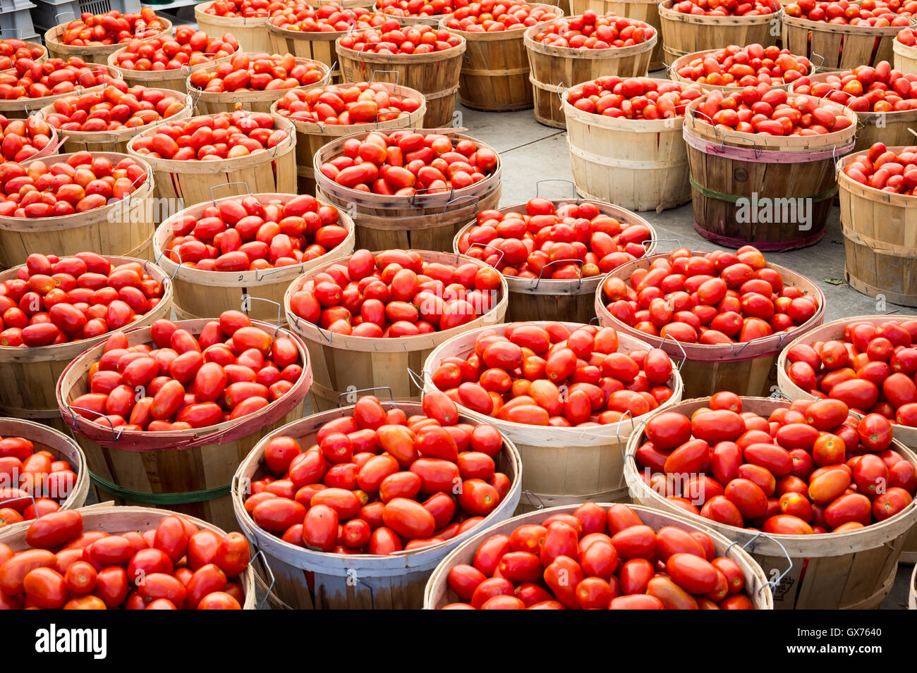 Many Roma tomatoes in baskets at the market Stock Photo Alamy