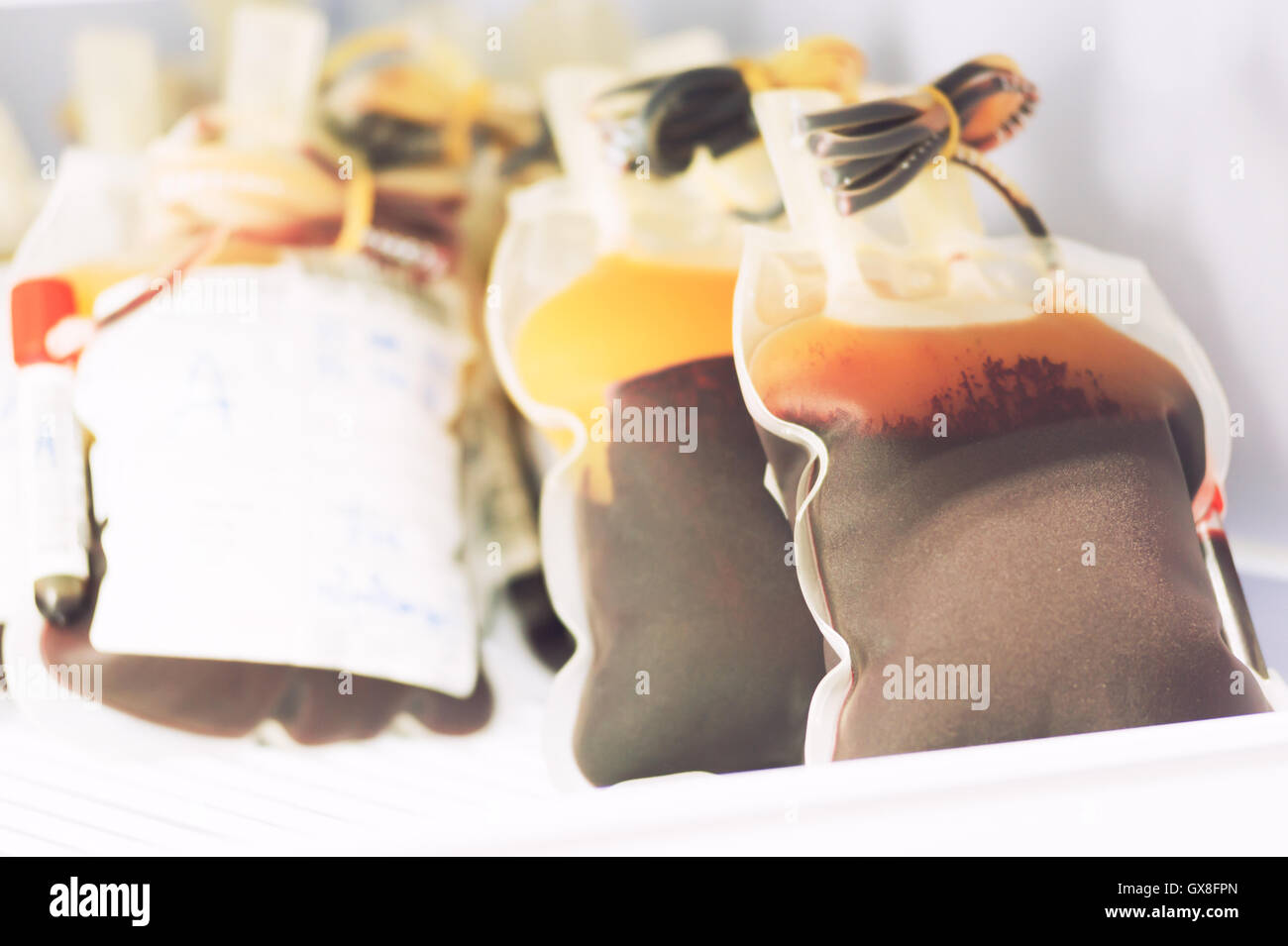 blood pouch in refrigerator at blood bank at laboratory hospital Stock Photo Alamy