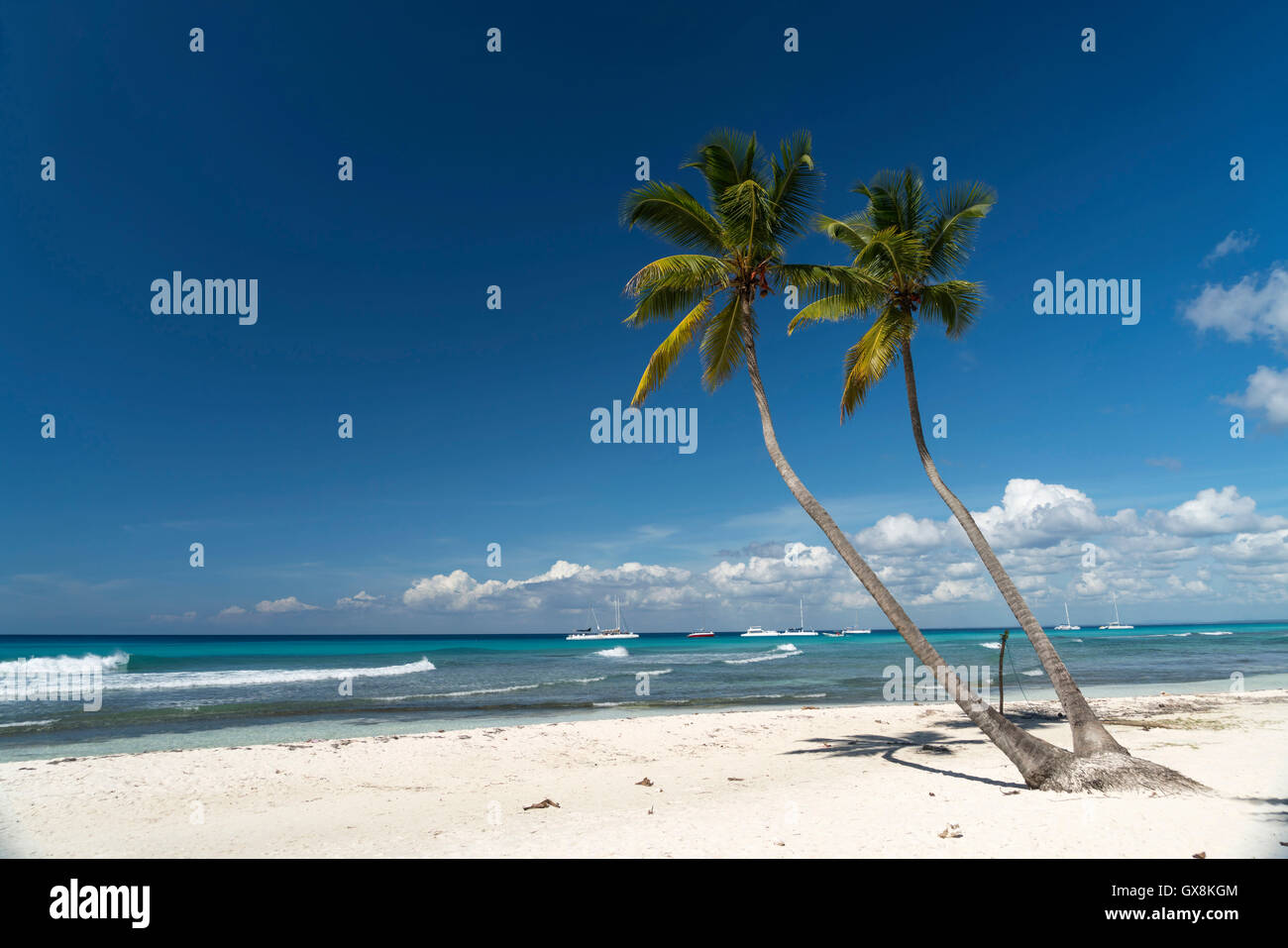 dream beach on the Caribbean Island Isla Saona,  Parque Nacional del Este, Dominican Republic, Carribean, America, Stock Photo