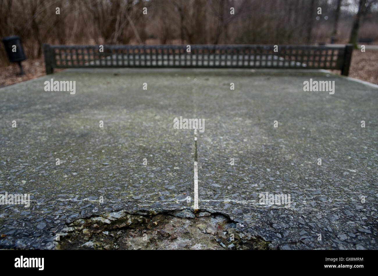 A Ping Pong Table Seems Damaged At A Park In Berlin Germany Stock Photo Alamy Use instagram, facebook or personal photos to create paddles, tables, & balls in 30 seconds! https www alamy com stock photo a ping pong table seems damaged at a park in berlin germany 119435224 html