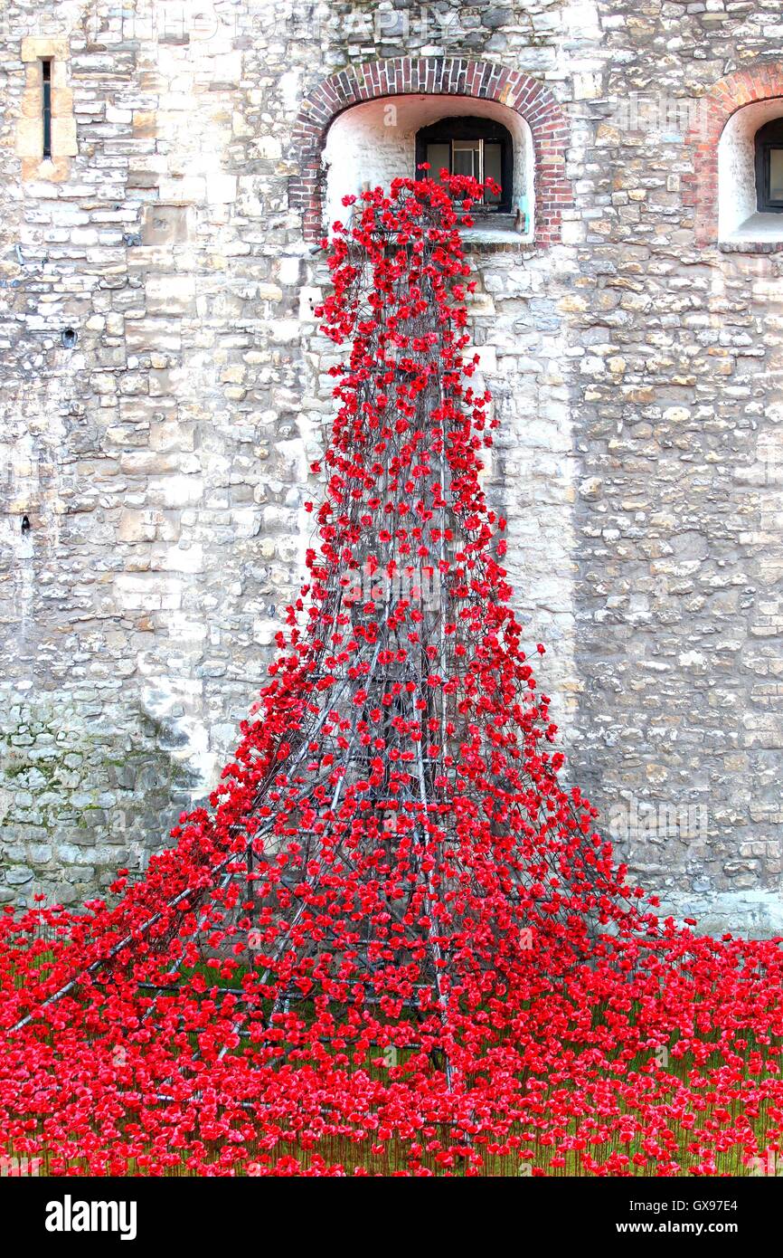 Poppies tower of london hires stock photography and images Alamy