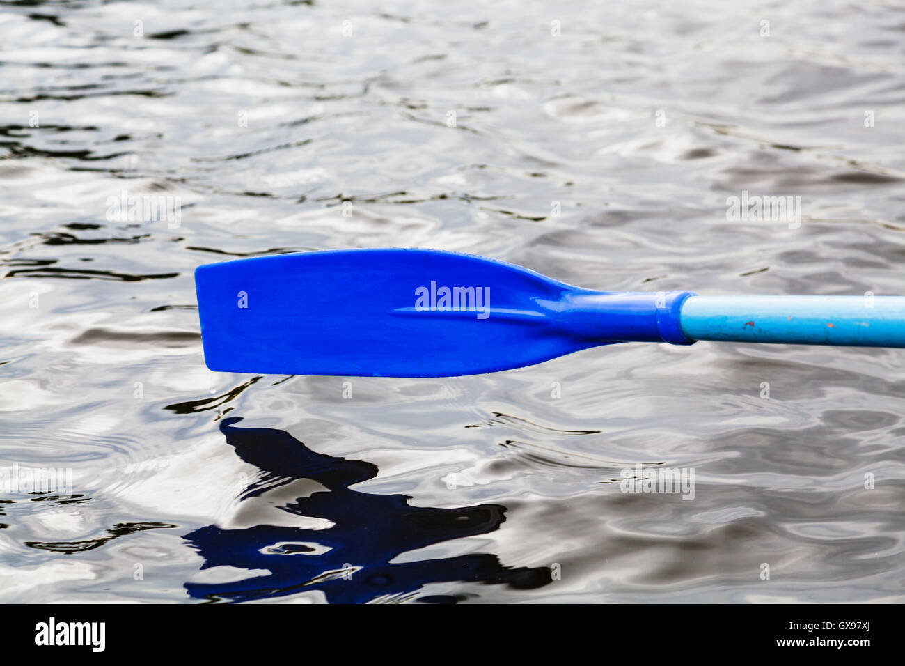 paddle blade over the water during rowing boat on pond Stock Photo Alamy