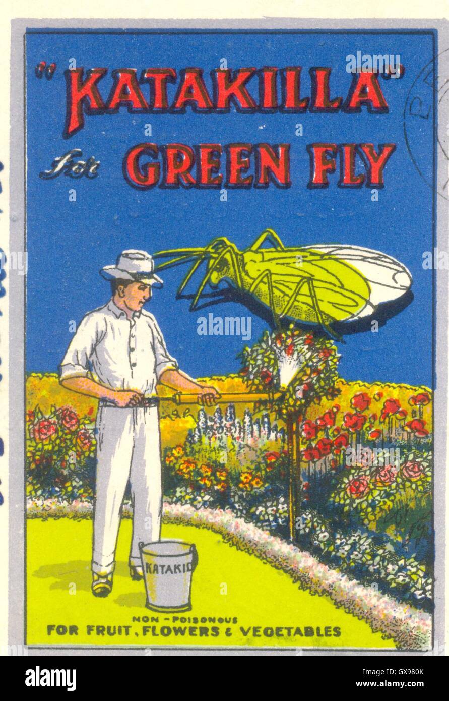 Advertisement for 'Katakilla' for Green Fly on advertising postcard from Seedsmen Arthur S Ritchie & Co., Belfast Stock Photo