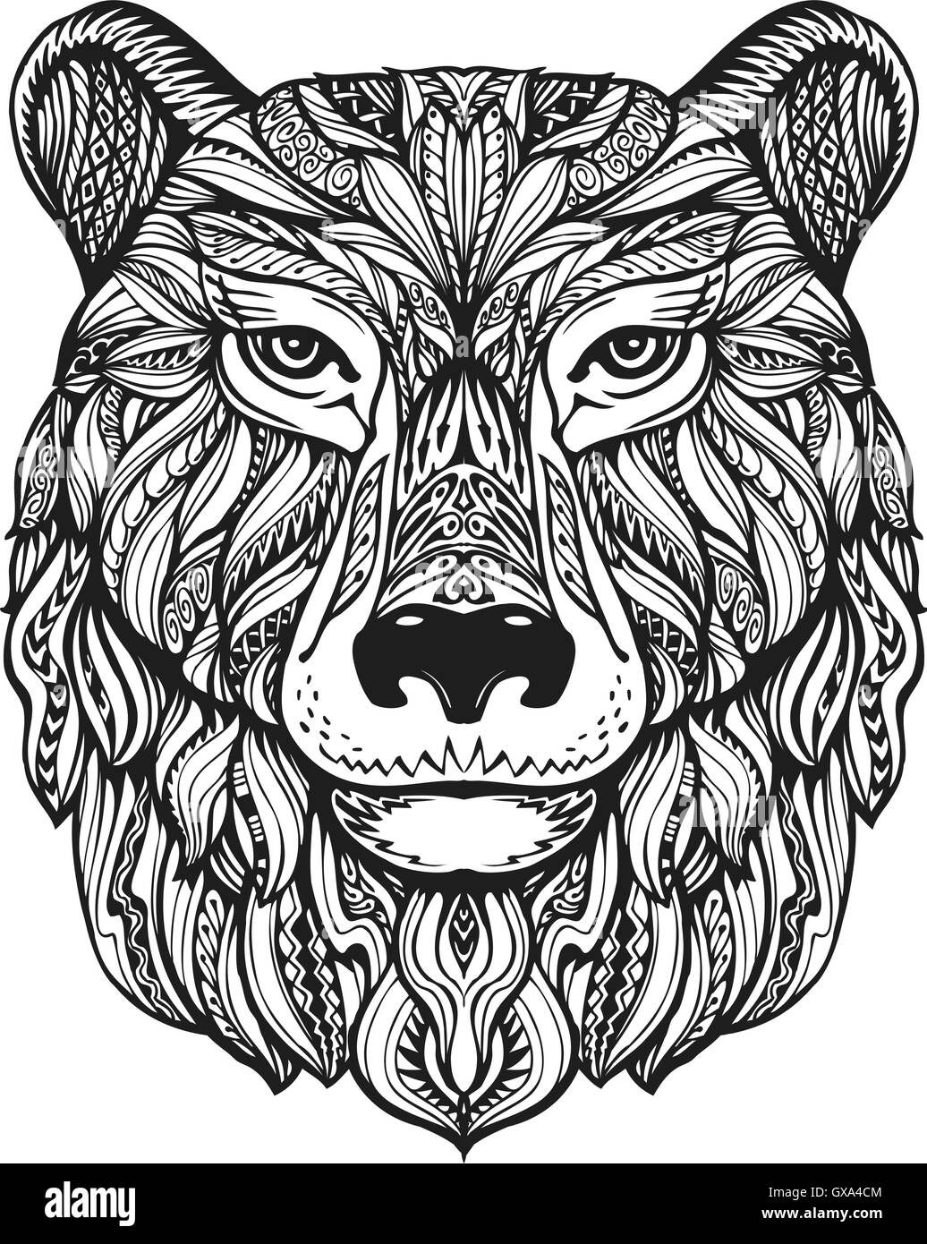 Bear or grizzly head isolated on white background. Hand drawn vector ...