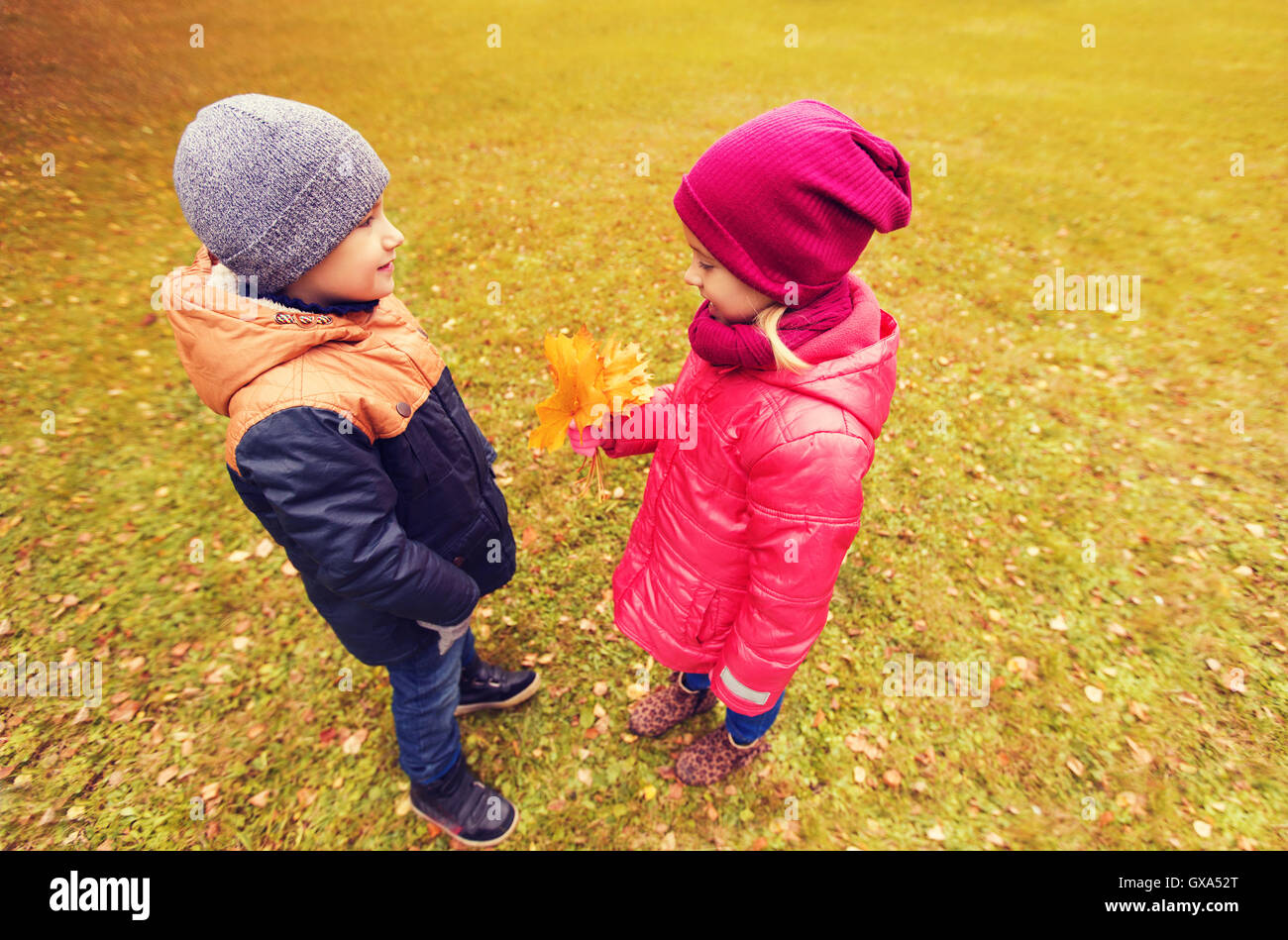 little boy giving autumn maple leaves to girl Stock Photo Alamy