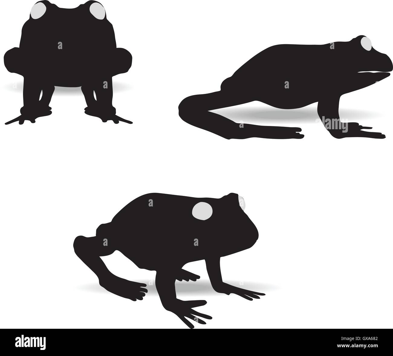 EPS 10 vector illustration of frog on white background Stock Vector ...