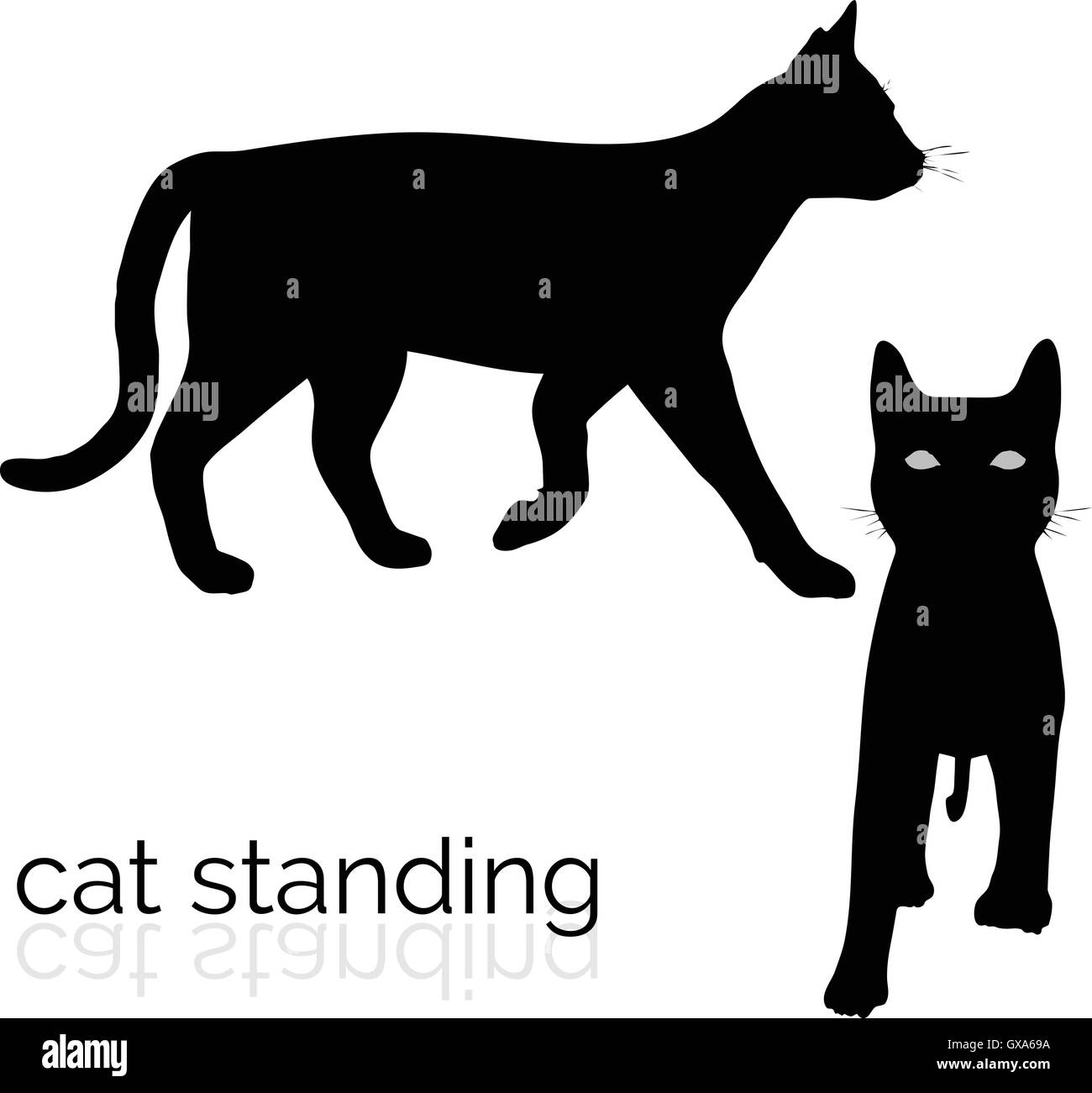 Fat black cat Black and White Stock Photos & Images - Page 2 - Alamy