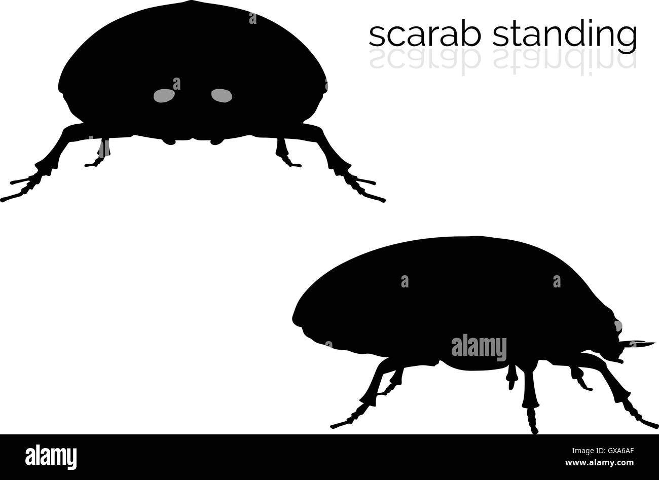 EPS 10 vector illustration of scarab on white background Stock Vector
