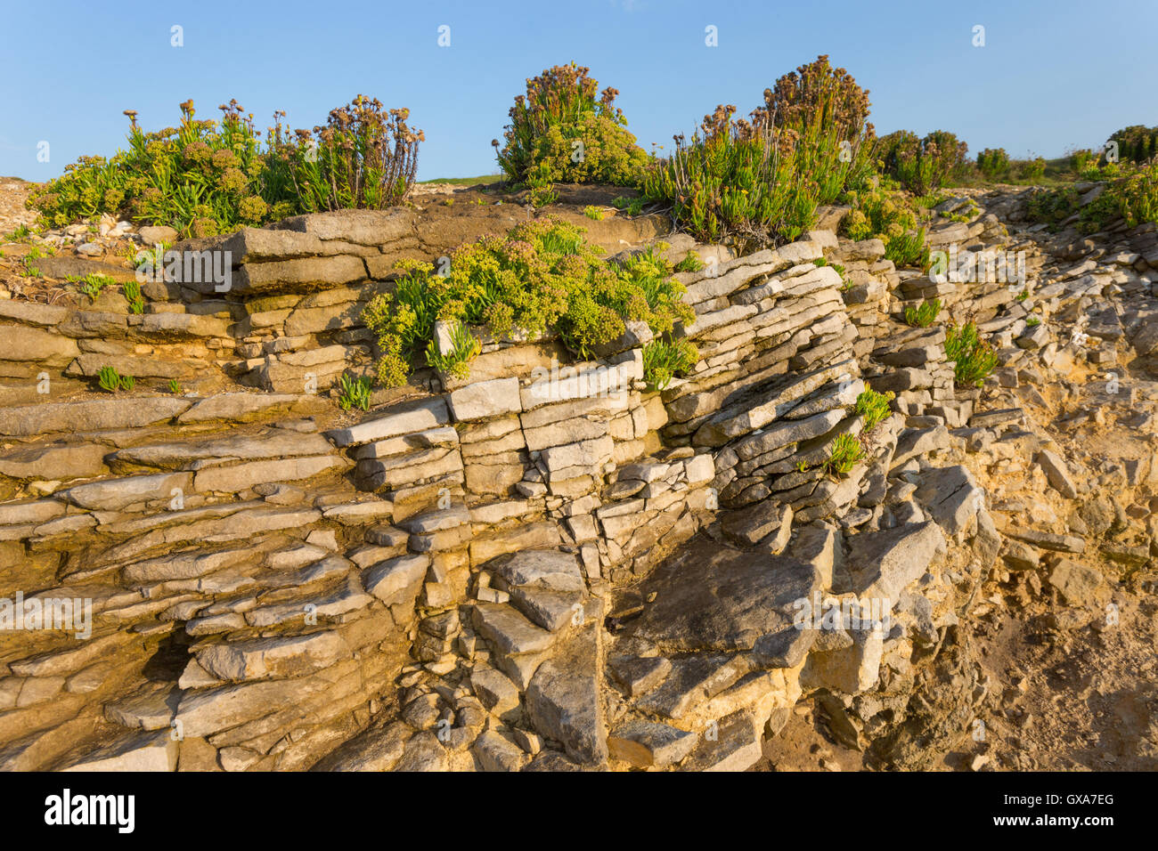 Rock formation showing the thinbedded limestones which are part of the
