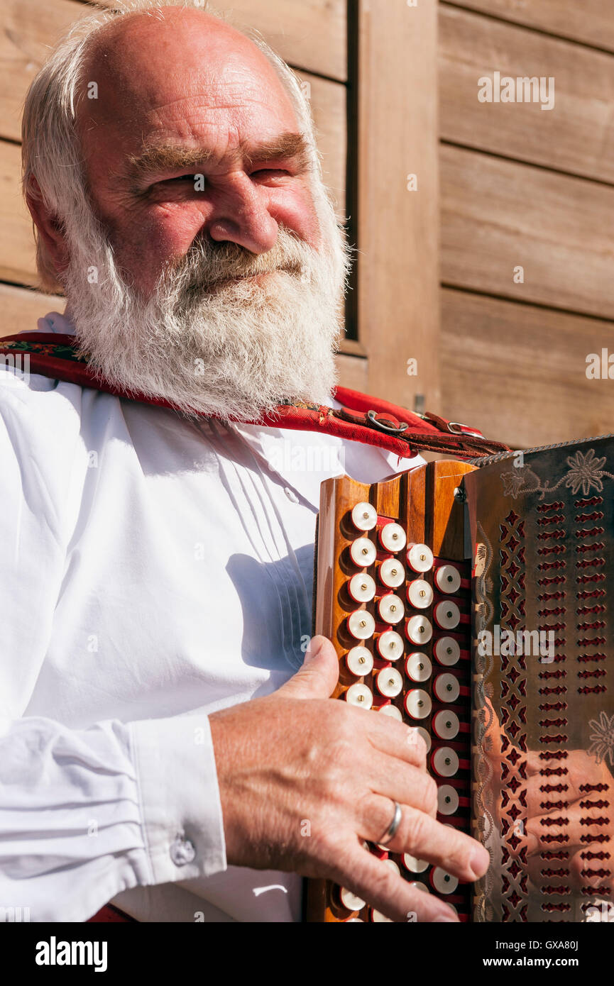 Accordion player Stock Photo Alamy