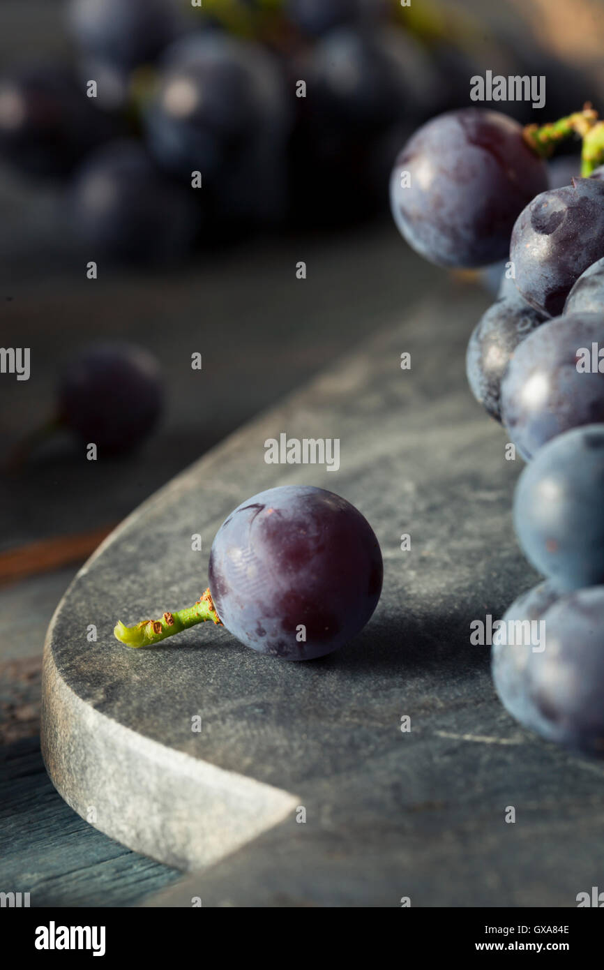 View of Concord grape plant hi-res stock photography and images - Alamy
