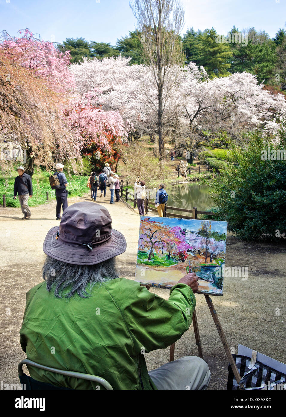 Japan, Honshu island, Kanto, Tokyo, Springtime or Hanami, painting at cherry flowers. Stock Photo