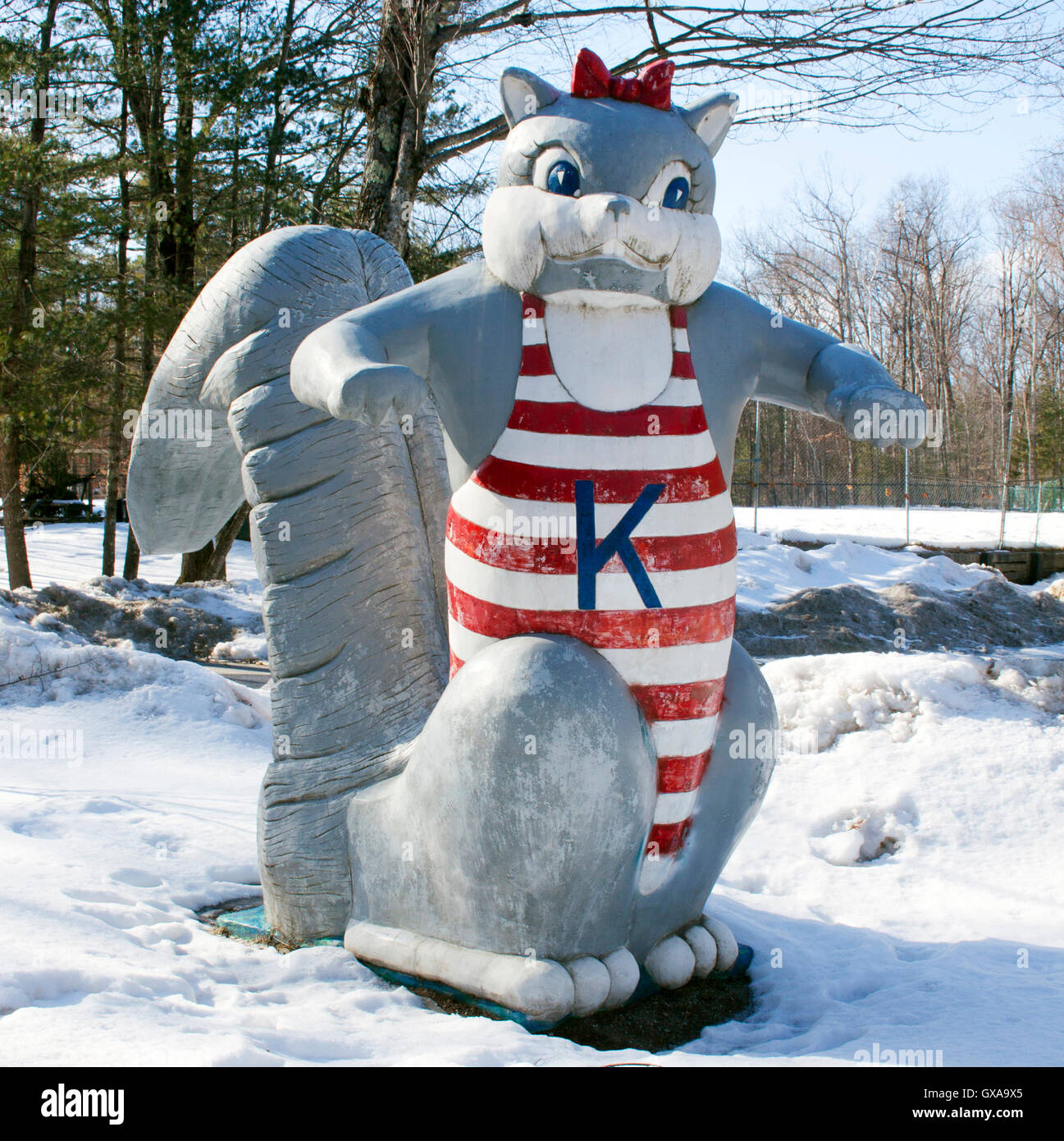 The Big Lady Squirrel sculpture in Leicester, Vermont, stands as a quirky roadside landmark celebrating woodland wildlife in oversized style. Stock Photo