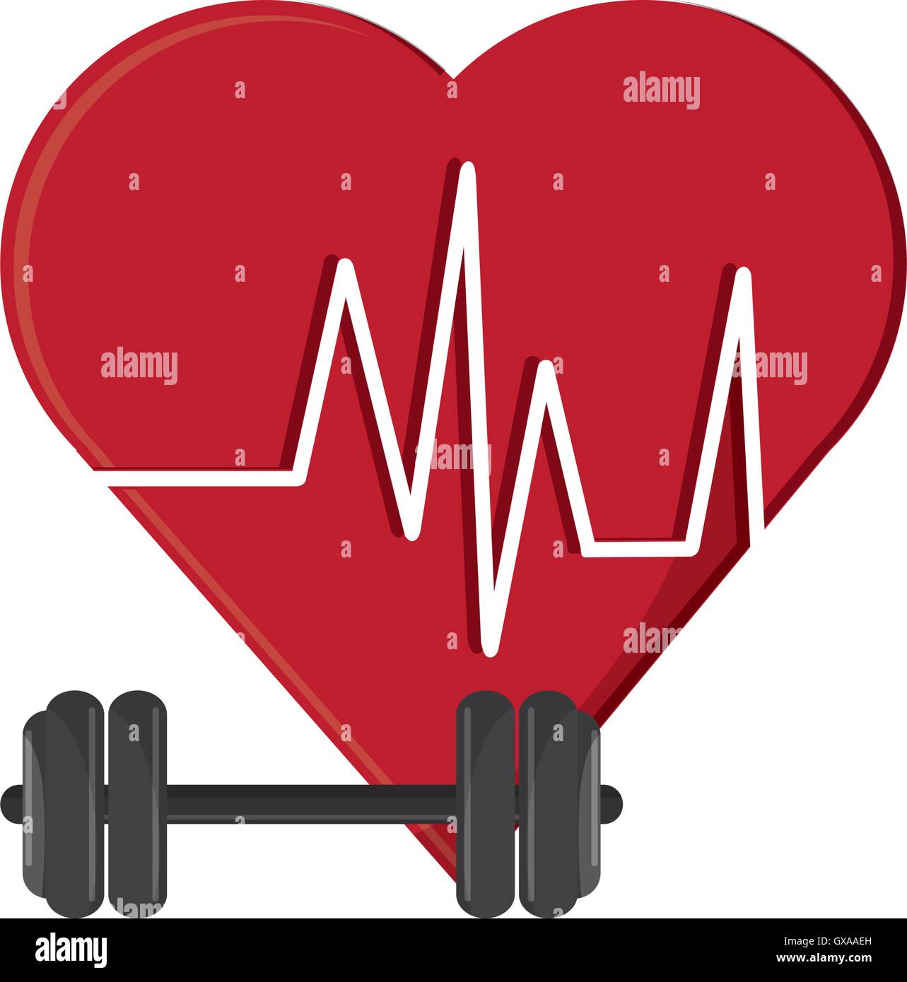 heart cardiogram and dumbbell icon Stock Vector Image & Art - Alamy