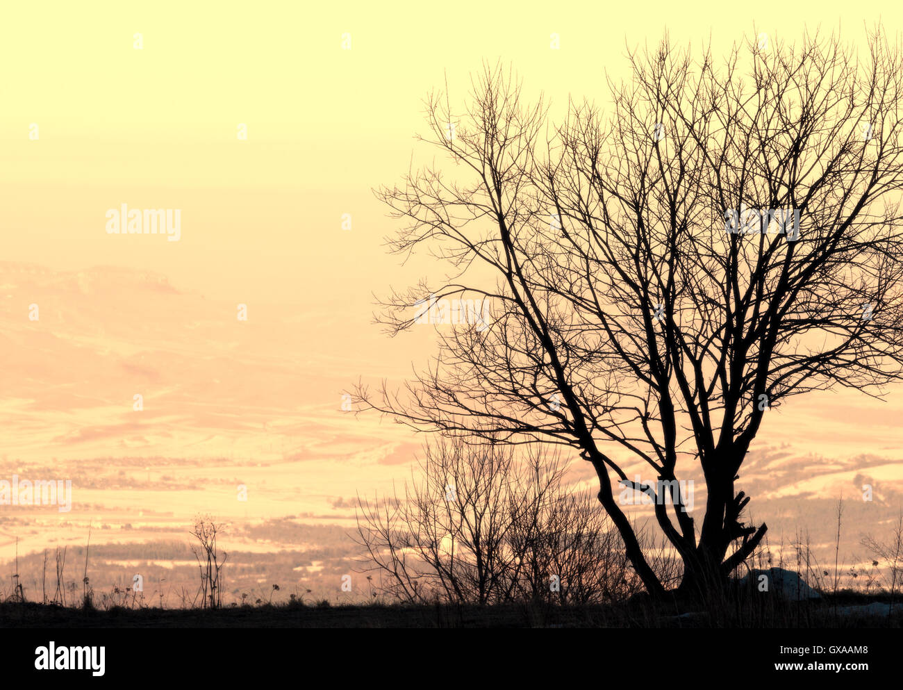 Seasonal nature image: lonely winter tree silhouette with mountain landscape and skyline (horizon) as a background. Stock Photo