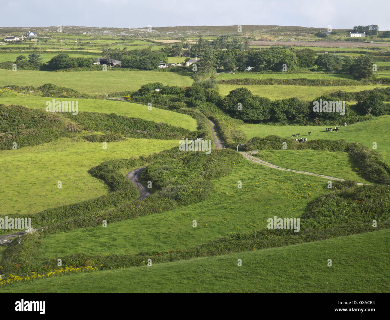 Lush farmland in South West Ireland Stock Photo