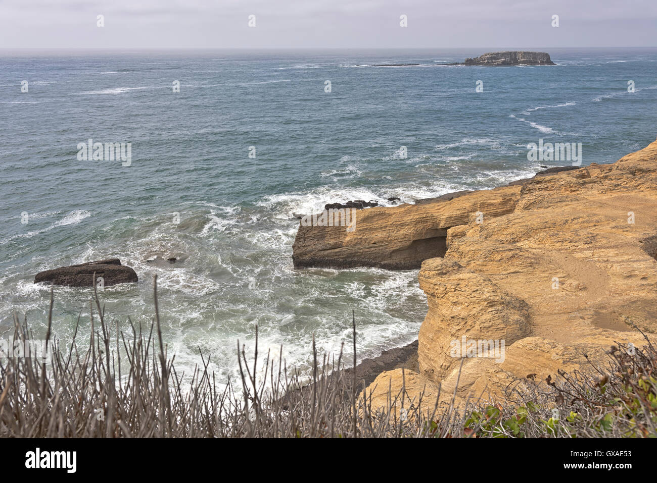 Oregon coast nature cliffs and the pacific ocean. Stock Photo