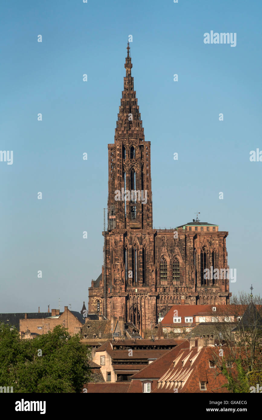 Strassburger Muenster in Strassburg,  Elsass, Frankreich  |  Strasbourg Cathedral, Strasbourg,  Alsace, France Stock Photo