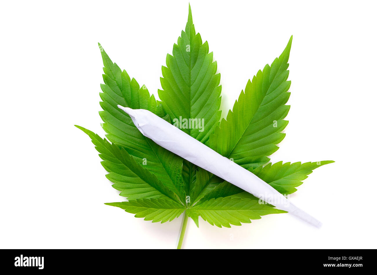 Joint auf Hanfblatt, Marihuana Stock Photo