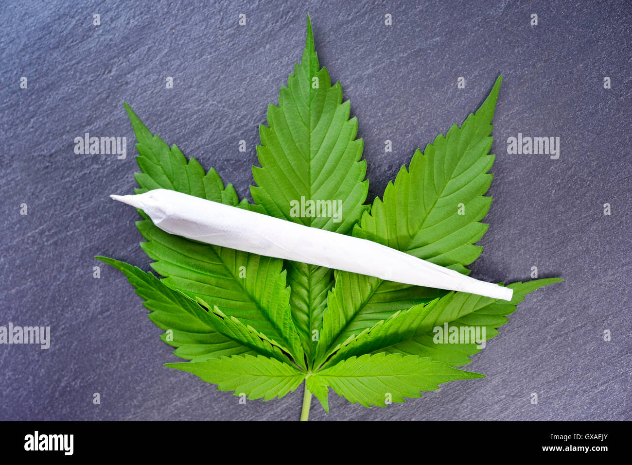 Joint auf Hanfblatt, Marihuana Stock Photo