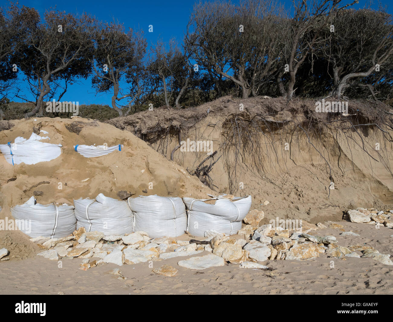 Protection of the coastal dune using sandbag. Ile d'Oleron, Atlantic coast. France. Stock Photo