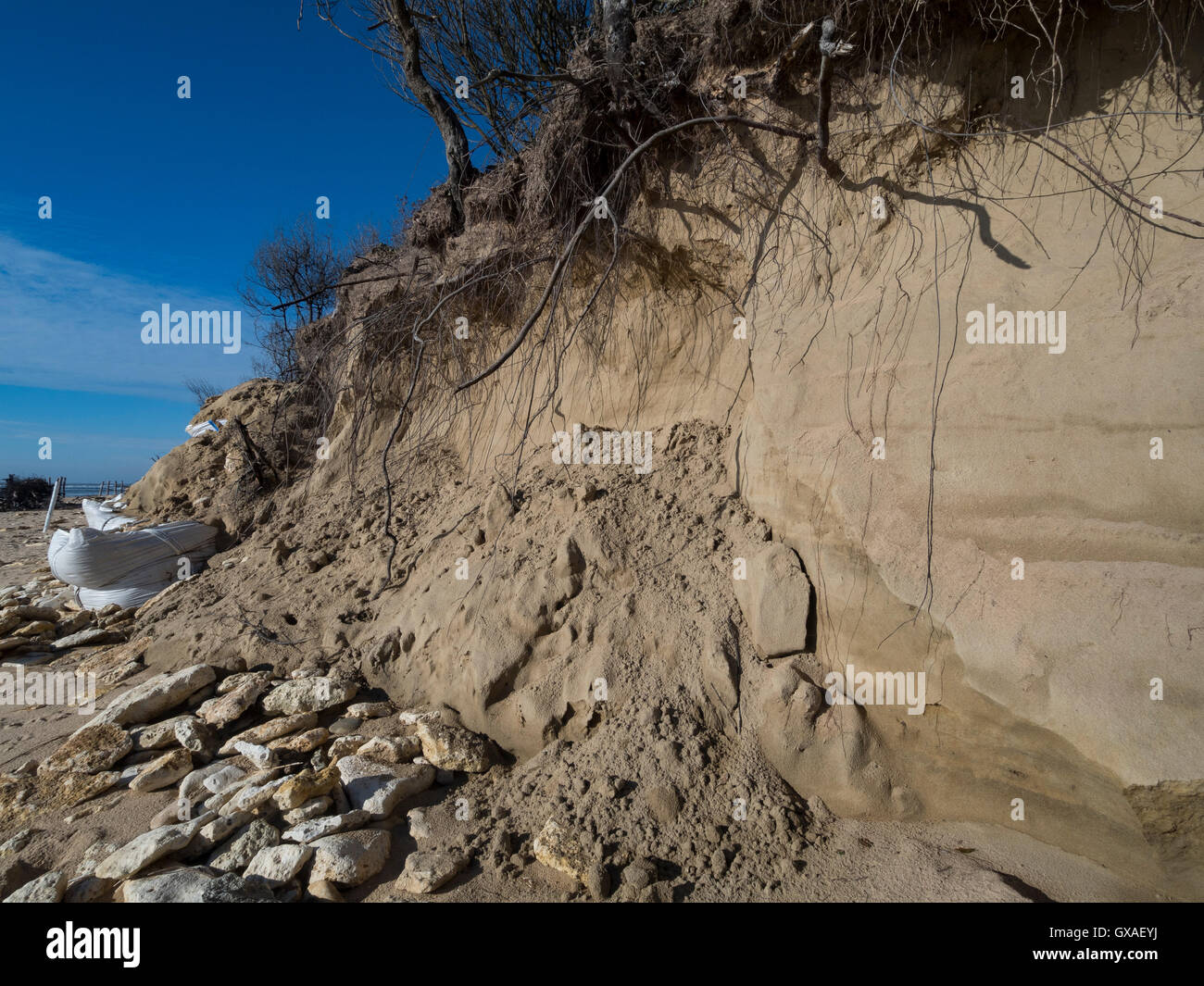 Protection of the coastal dune using sandbag. Ile d'Oleron, Atlantic coast. France. Stock Photo