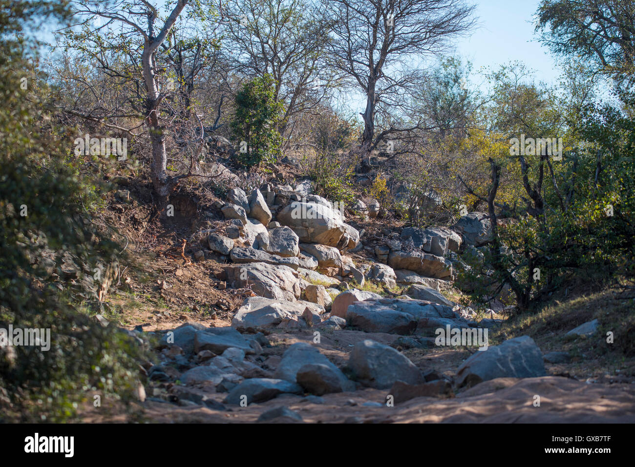 A rocky dry riverbed in the Kruger National Park Stock Photo