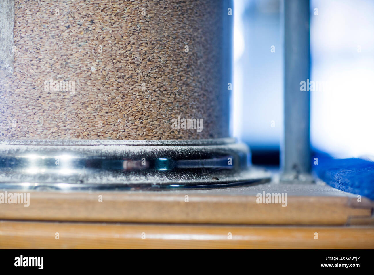 Container Wheat Mill Close up of wholewheat in a container at wheat mill Stock Photo - Alamy