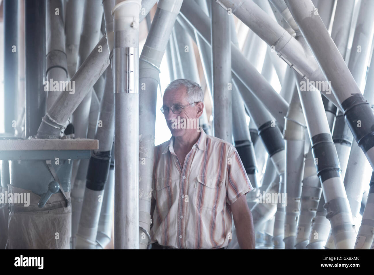 Male miller monitoring milling machine and flour sack at wheat mill