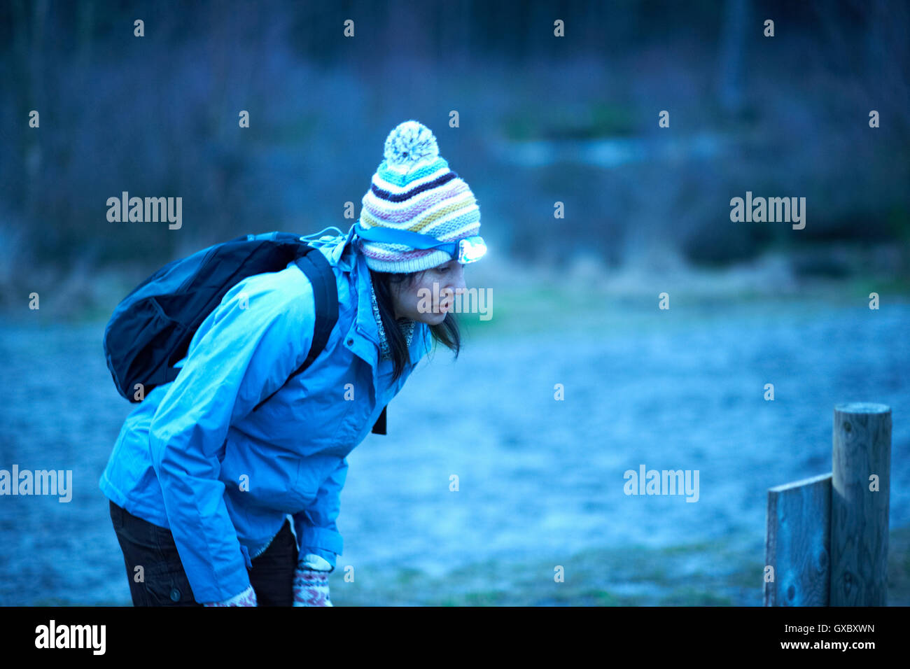 Female hiker wearing head torch reading in forest notice at dusk Stock Photo