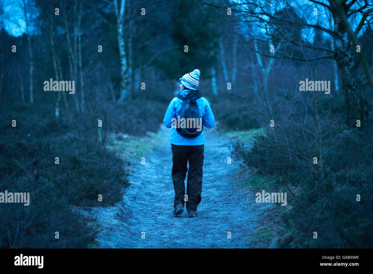 Rear view of female hiker hiking in forest at dusk Stock Photo - Alamy