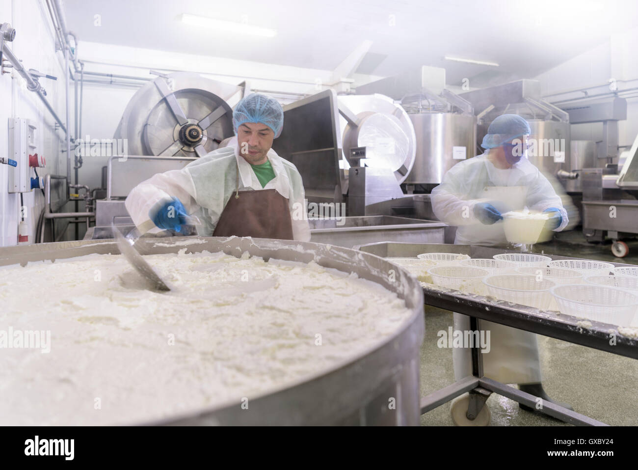 Workers making ricotta cheese in cheese factory Stock Photo