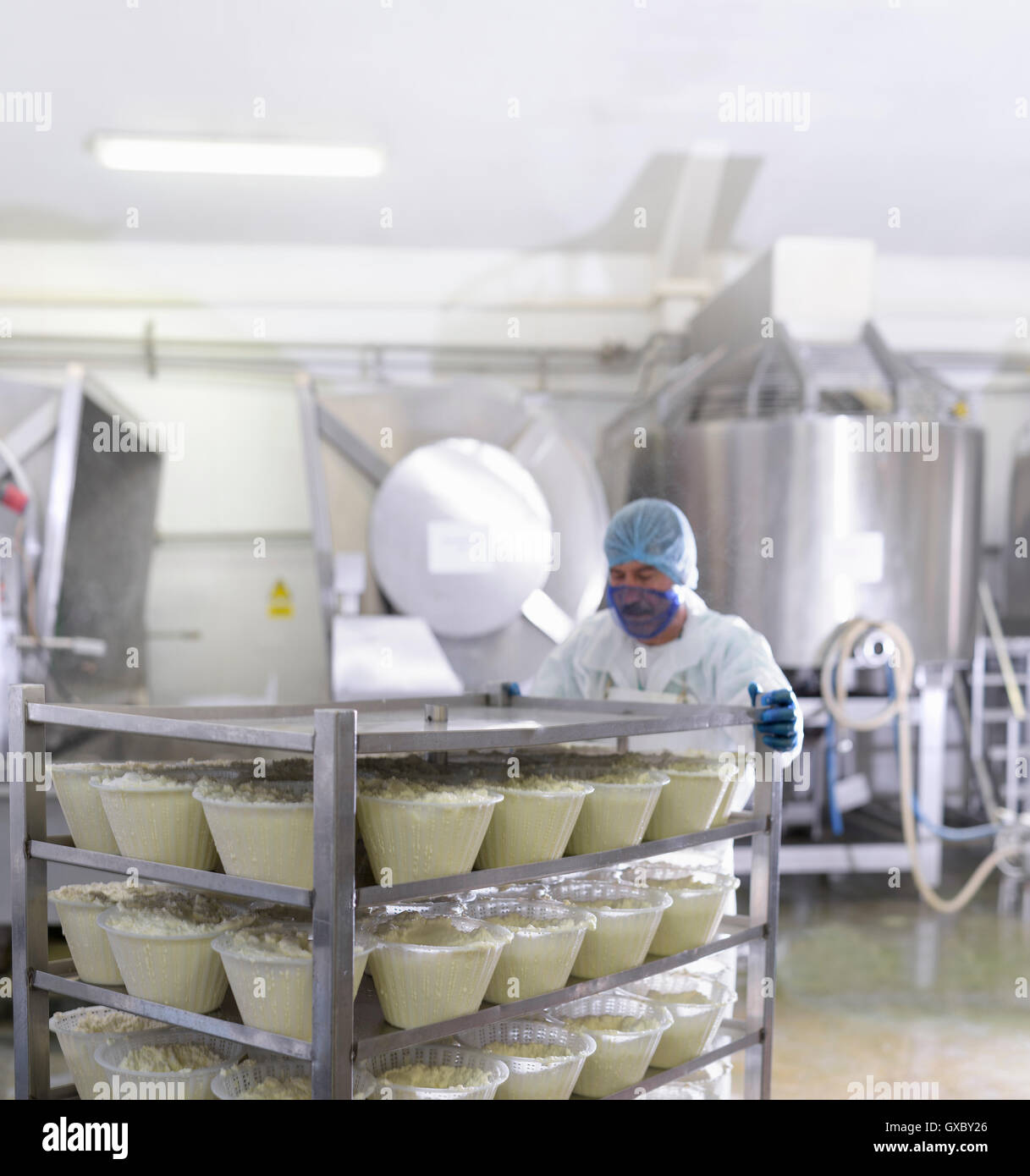 Worker with ricotta cheese in cheese factory Stock Photo