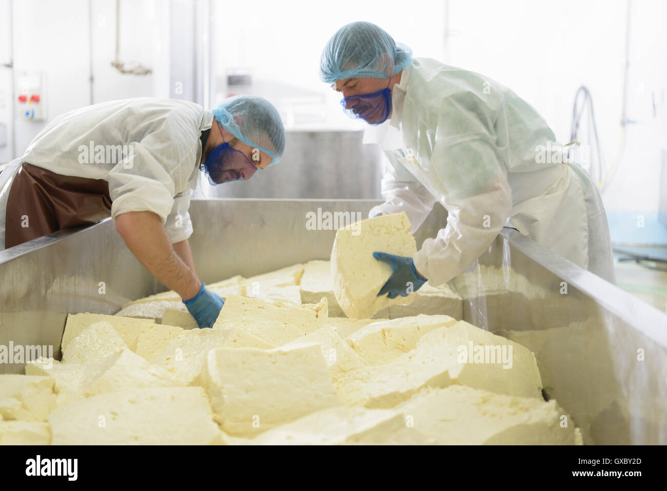 Workers cutting mozzarella cheese in cheese factory Stock Photo Alamy