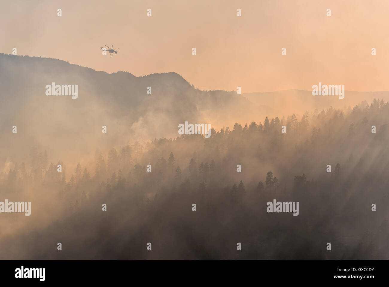 Aerial firefighting helicopter fighting the 2014 Dog Rock wildfire above the smoke filled forests of Yosemite National Park Stock Photo
