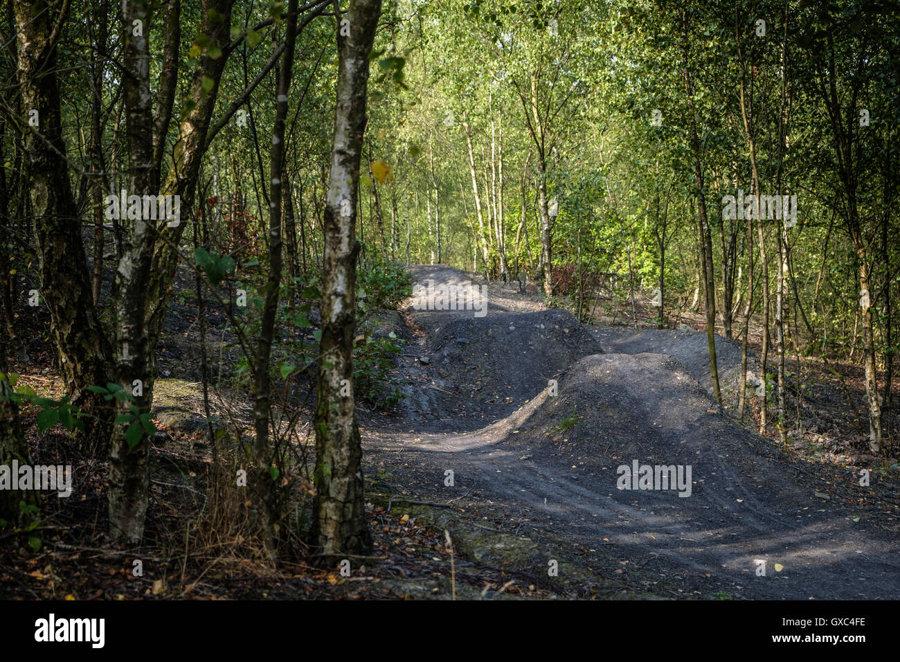 vallei defect Muf Mountain Bike trails at Pooley Country Park Stock Photo - Alamy