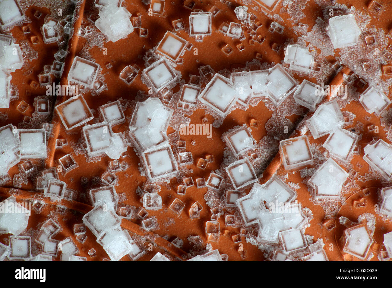Crystals of table salt Stock Photo Alamy