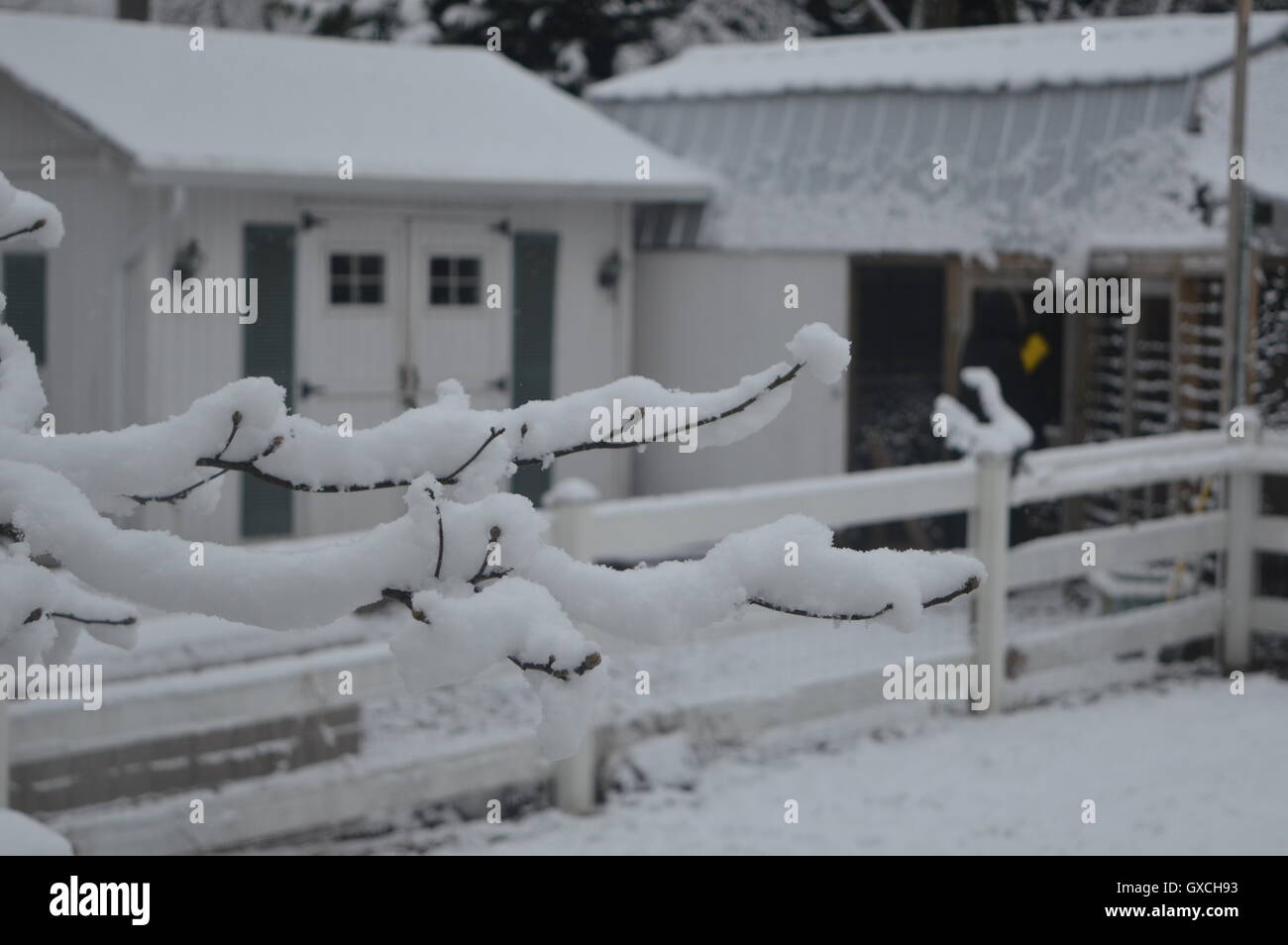 Shed, barn & fence in snow. Photographed in Pasadena, Anne Arundel