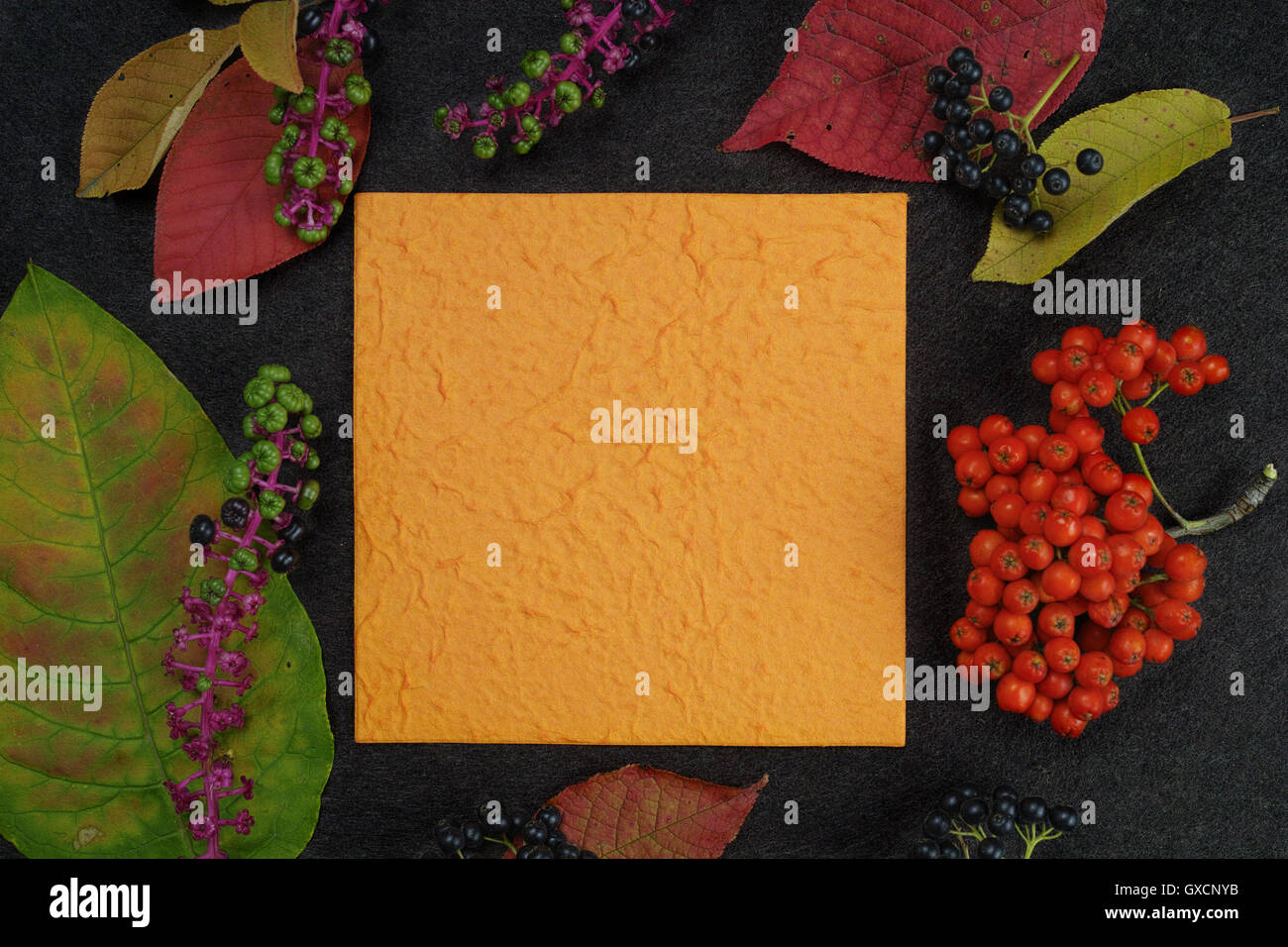 autumn-restaurant-menu-free-text-copy-space-with-forest-berries-and