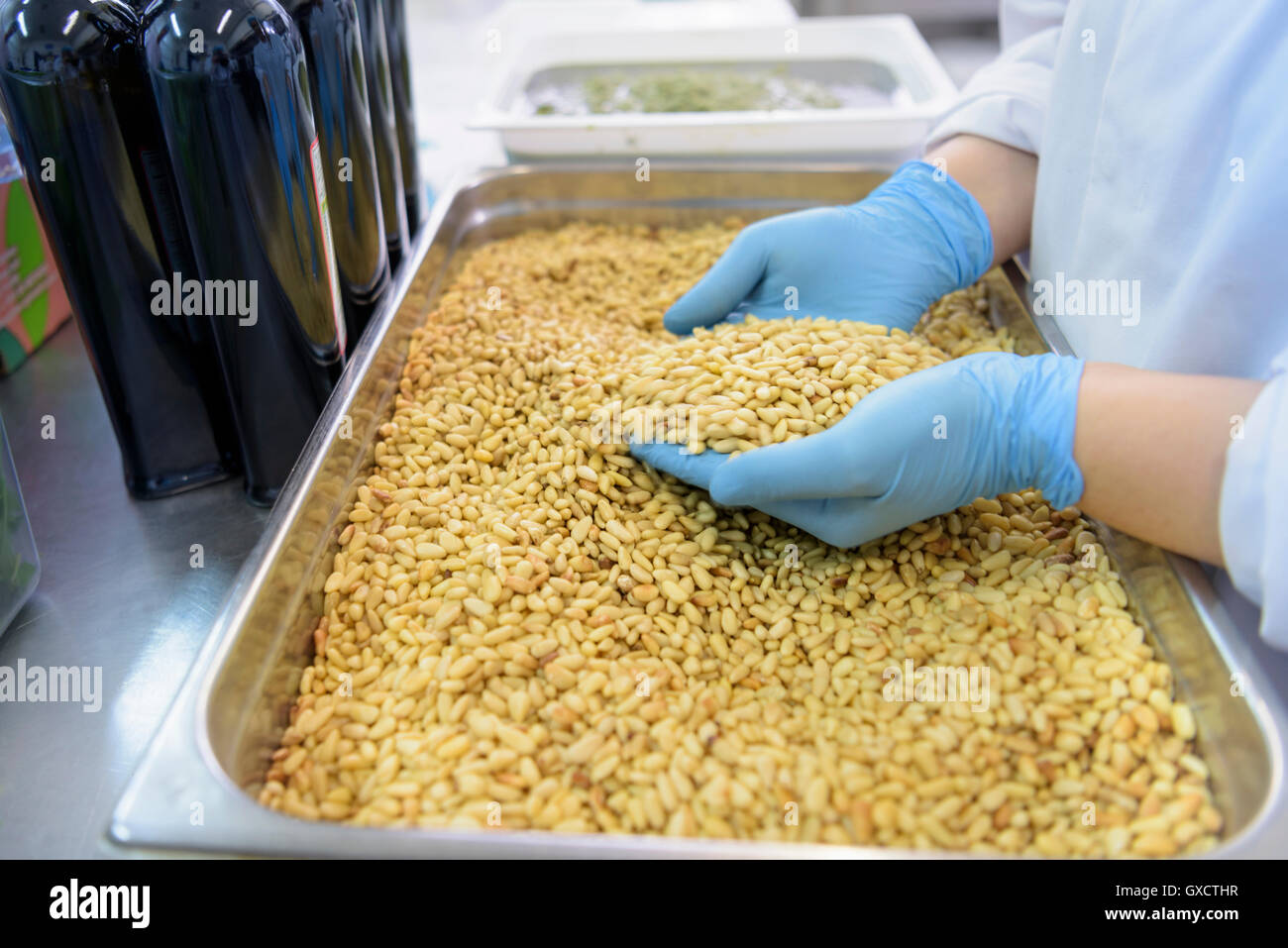 Worker sorting pine nuts to make pesto sauce in pasta factory, close up