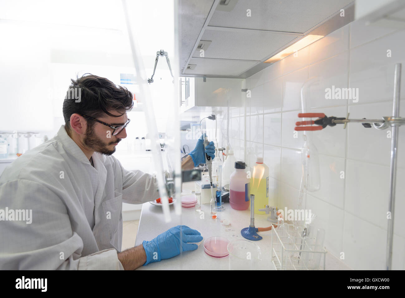 Technician in food testing laboratory in food factory Stock Photo Alamy